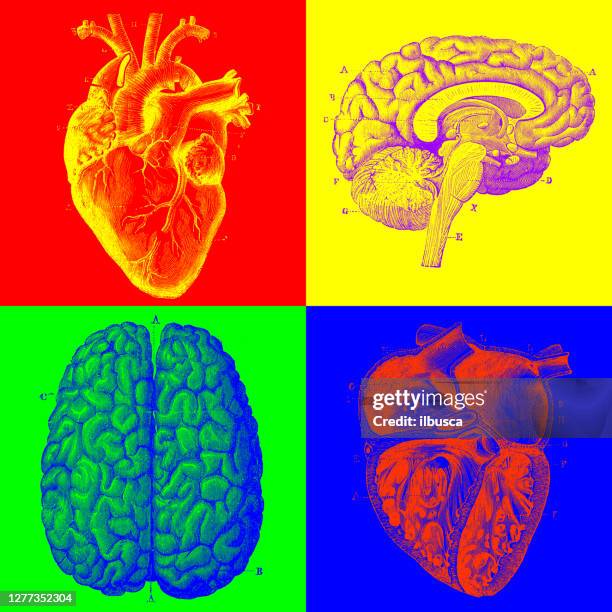 pop-art-stil mehrere bild von antiken illustrationen abgeleitet: anatomie, menschliches herz und gehirn - neurosurgery stock-grafiken, -clipart, -cartoons und -symbole