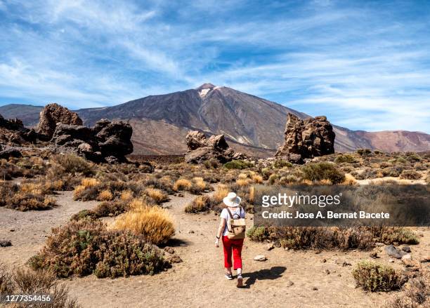 hiking woman walking through a volcanic mountain landscape in tenerife, canary islands. - pico de teide stock pictures, royalty-free photos & images