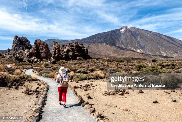 hiking woman walking through a volcanic mountain landscape in tenerife, canary islands. - pico de teide stock-fotos und bilder