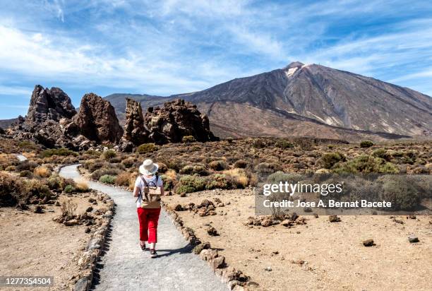 hiking woman walking through a volcanic mountain landscape in tenerife, canary islands. - tenerife stock pictures, royalty-free photos & images