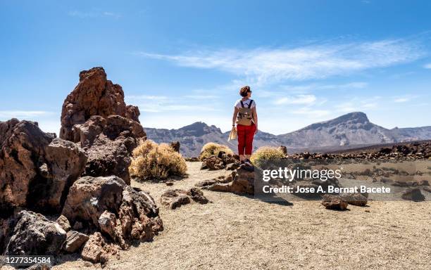 hiking woman walking through a volcanic mountain landscape in tenerife, canary islands. - volcanic terrain stock pictures, royalty-free photos & images