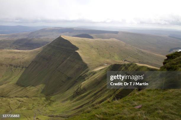 Cribyn Path 100 Cribyn Stock Photos, High-Res Pictures, and Images - Getty Images
