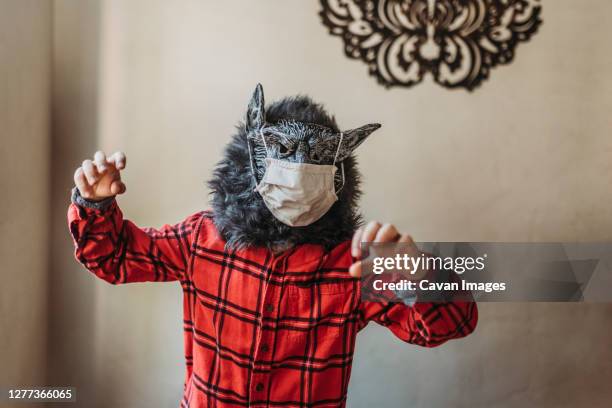 young boy in wolf mask with face covering over mask standing at home - werewolf imagens e fotografias de stock