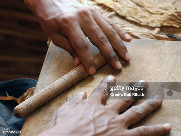 Julio Ramirez carefully hand-rolls another Double Corona Torpedo cigar at the Gran Havana Cigar store, October 11, 2002 in the GasLamp District in...