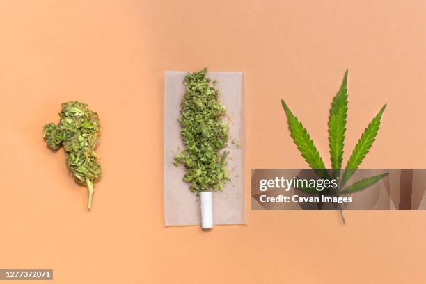 rolling a cannabis joint: marijuana bud, leaf and joint ready to roll. - marijuana joint imagens e fotografias de stock