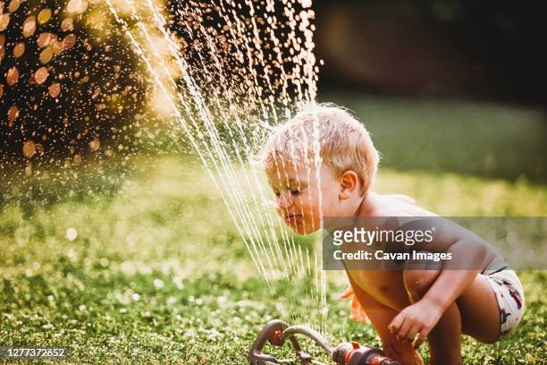 young boy sticking tongue out drinking water from sprinkler in garden - sprinkler system stock pictures, royalty-free photos & images