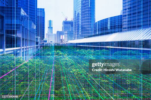 image of the network between modern building - smart city concept foto e immagini stock
