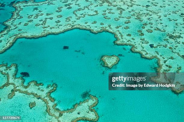 aerial heart reef whitsundays - whitsundays stock-fotos und bilder