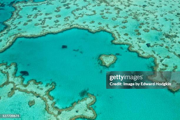 aerial heart reef whitsundays - whitsundays stock pictures, royalty-free photos & images