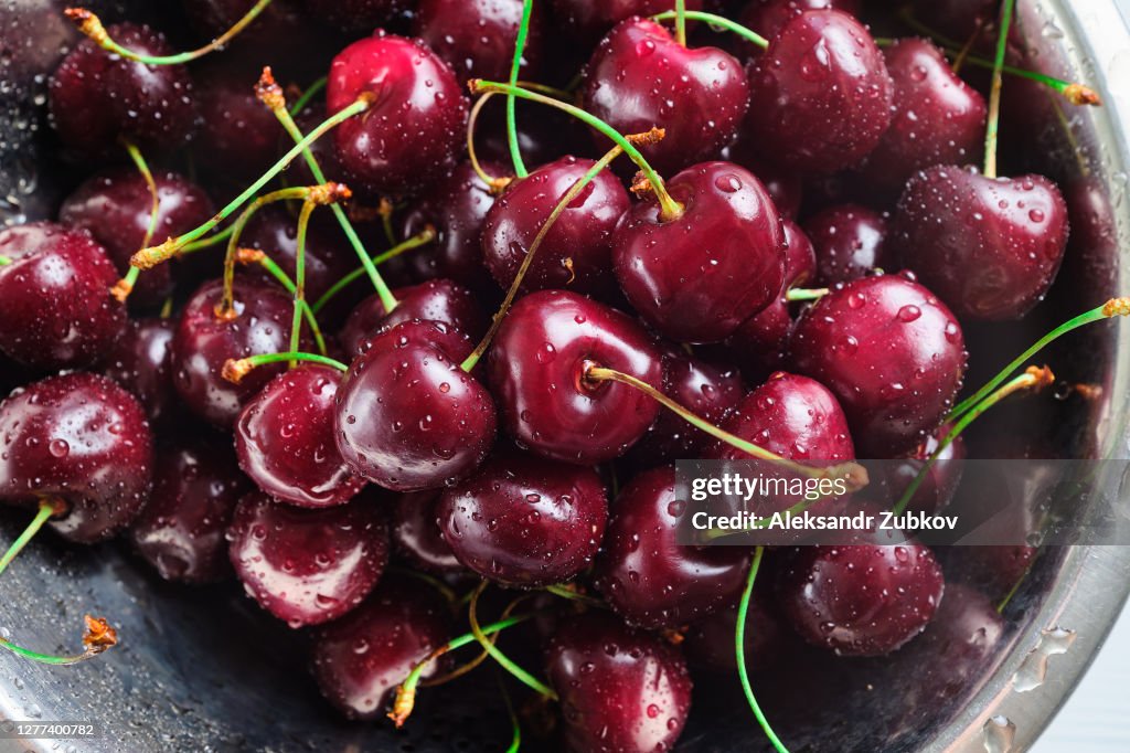 Red Ripe Cherries In Water Drops, In An Iron Plate Or Colander. Background. Vegetarian, vegan, Raw food.