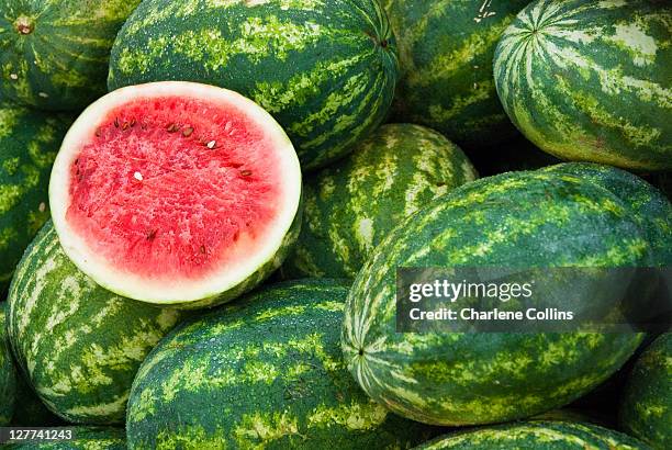 melons in southfield - wassermelone stock-fotos und bilder