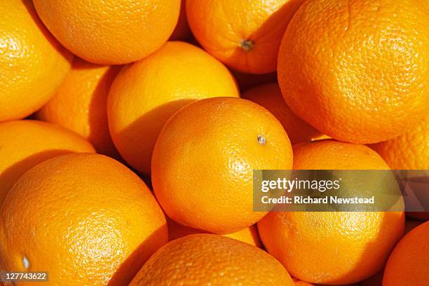 oranges - orange colour fotografías e imágenes de stock