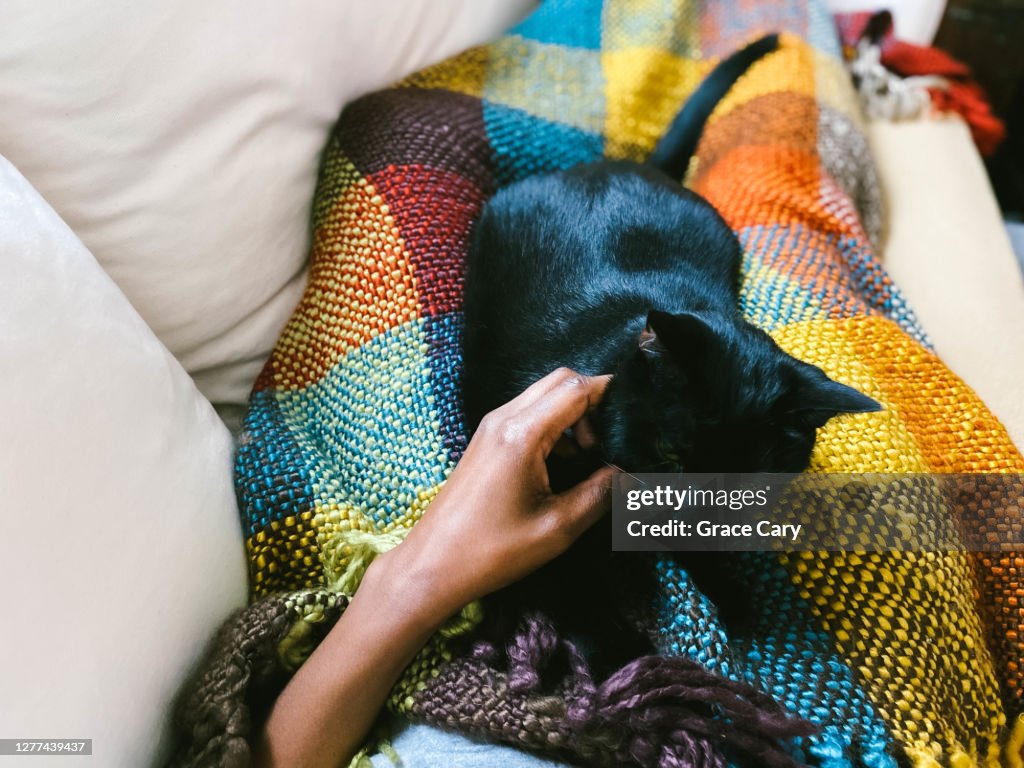 Woman on Sofa With Cat