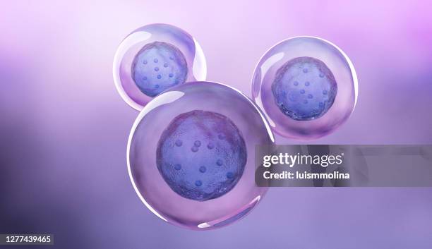 menselijke stamcel - human egg stockfoto's en -beelden
