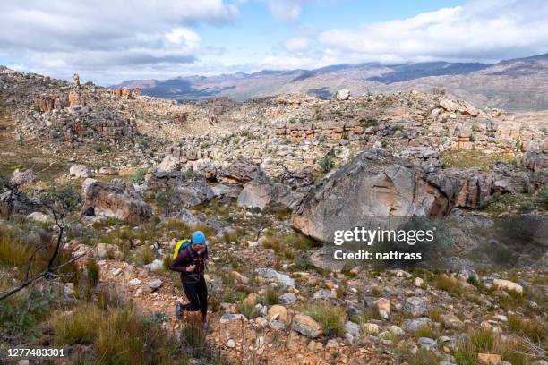 fit frau wandern in den bergen - cederberg gebirge stock-fotos und bilder