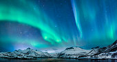 Aurora borealis over in the dark night sky over the snowy mountains in the Lofoten