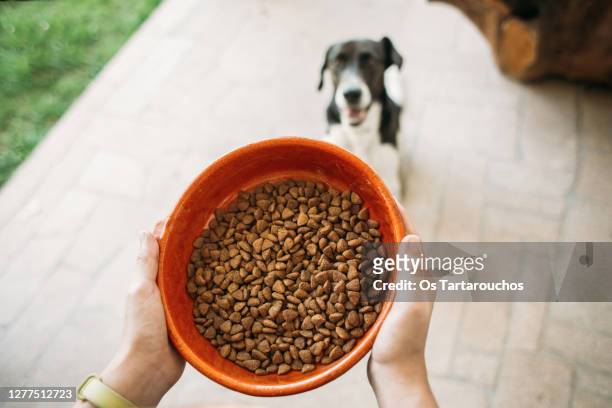 dog bowl with food and dog waiting for it - pet food ストックフォトと画像