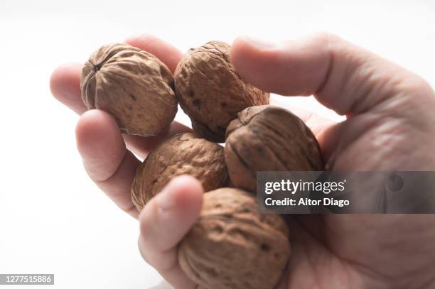 man's hand with a few walnuts. - walnuss stock-fotos und bilder