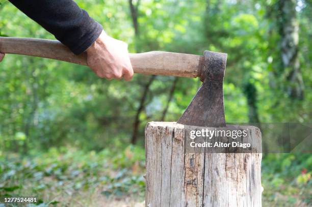 someone cutting a stick with an ax. - hacha pequeña fotografías e imágenes de stock