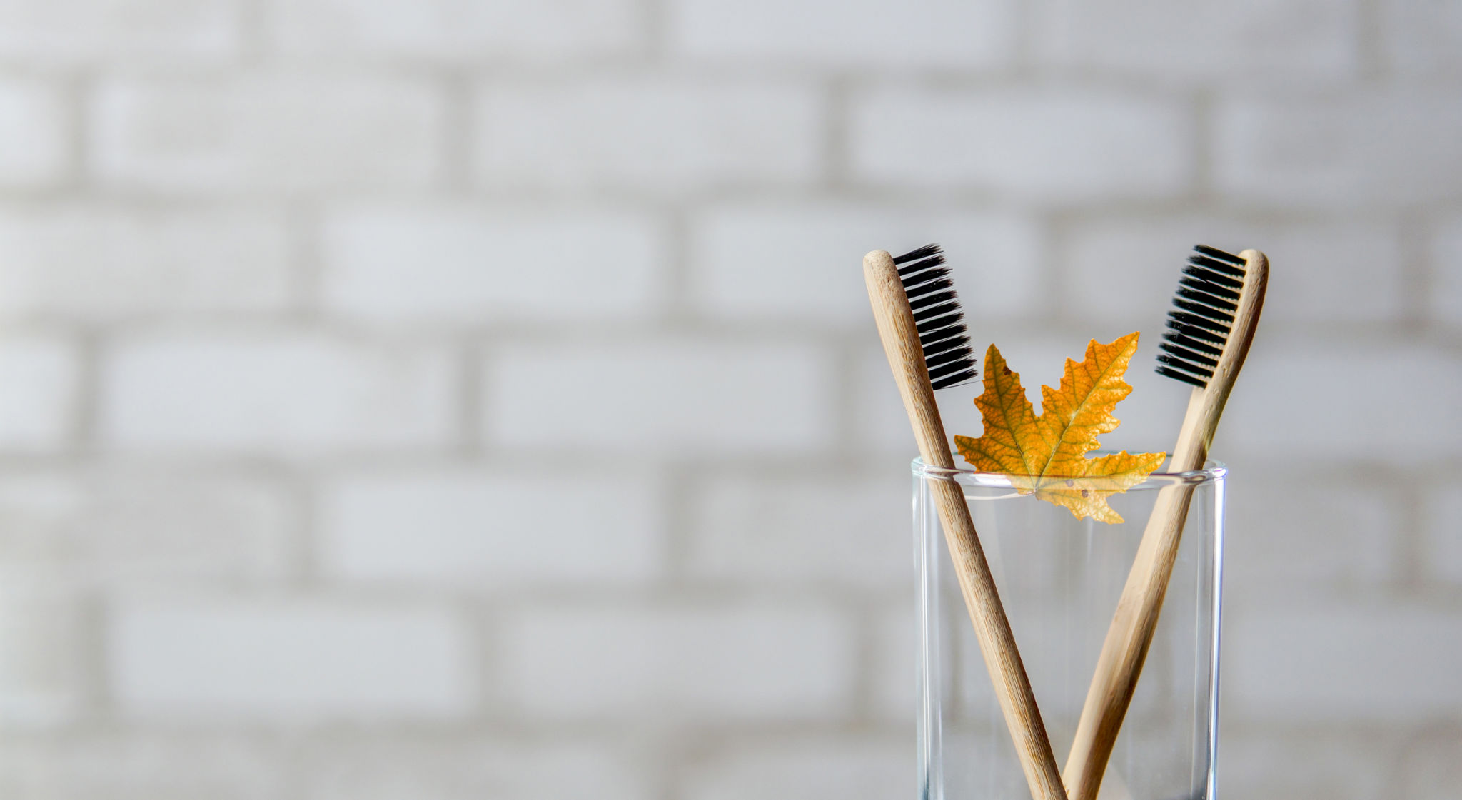 fall dental care