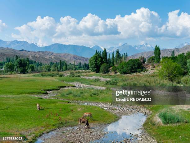 Landscape near lake Issyk-Kul. Tien Shan mountains or heavenly mountains in Kirghizia. Asia. Central Asia. Kyrgyzstan.
