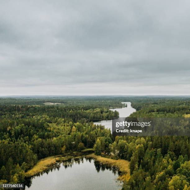 blick auf wald und himmellandschaft in schweden drohnenbild - västergötland stock-fotos und bilder