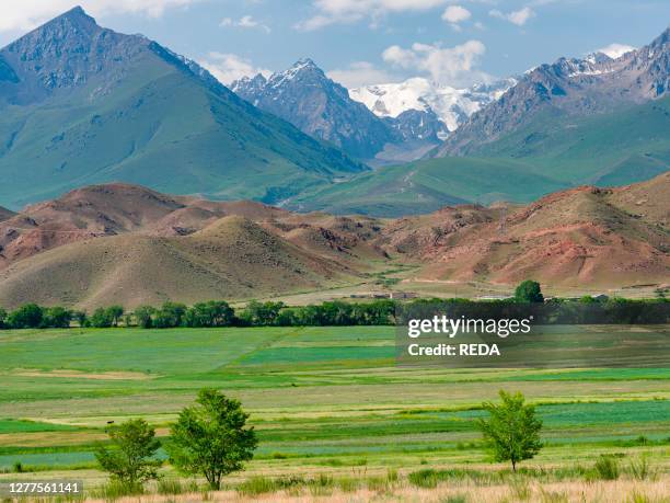 Agriculture near lake Issyk-Kul. Tien Shan mountains or heavenly mountains in Kirghizia. Asia. Central Asia. Kyrgyzstan.