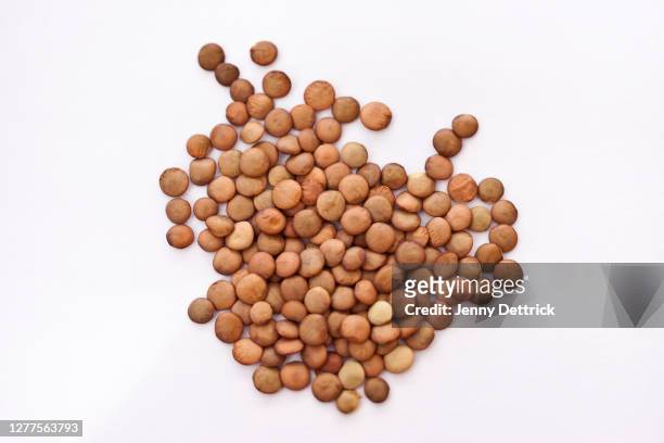 brown lentils - linze stockfoto's en -beelden