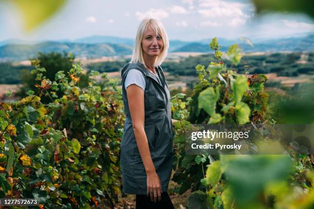 mujer sonriente en el viñedo - wine maker fotografías e imágenes de stock