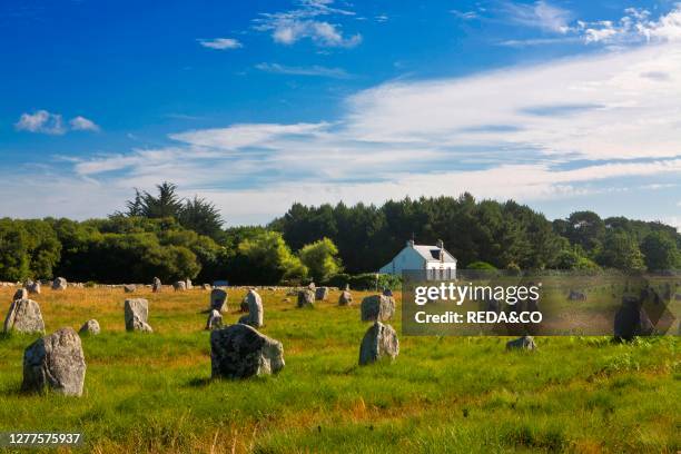 Alignment megalithic. Carnac. Brittany. France. Europe.