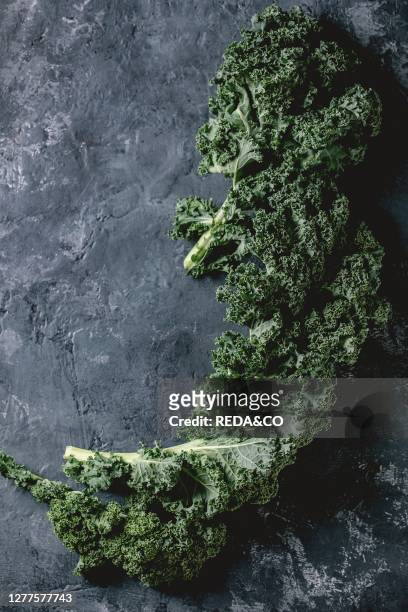 Heap of fresh organic curly kale leaves over black concrete background. Healthy eating ingredients. Flat lay. Copy space.