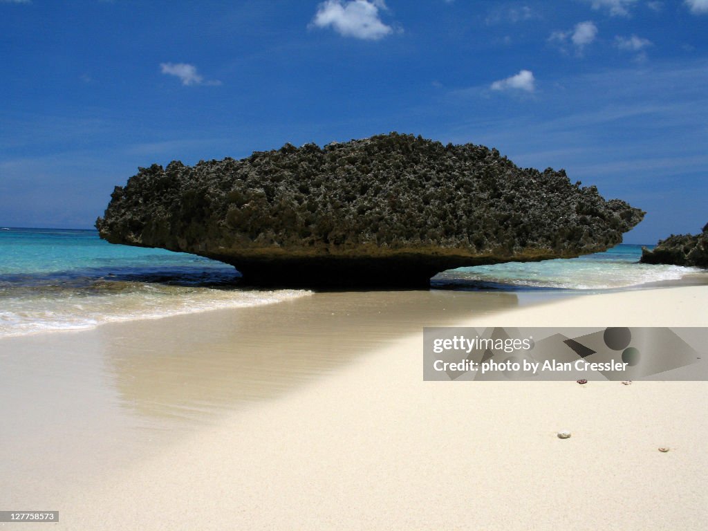 Playa sardinera, isla mona
