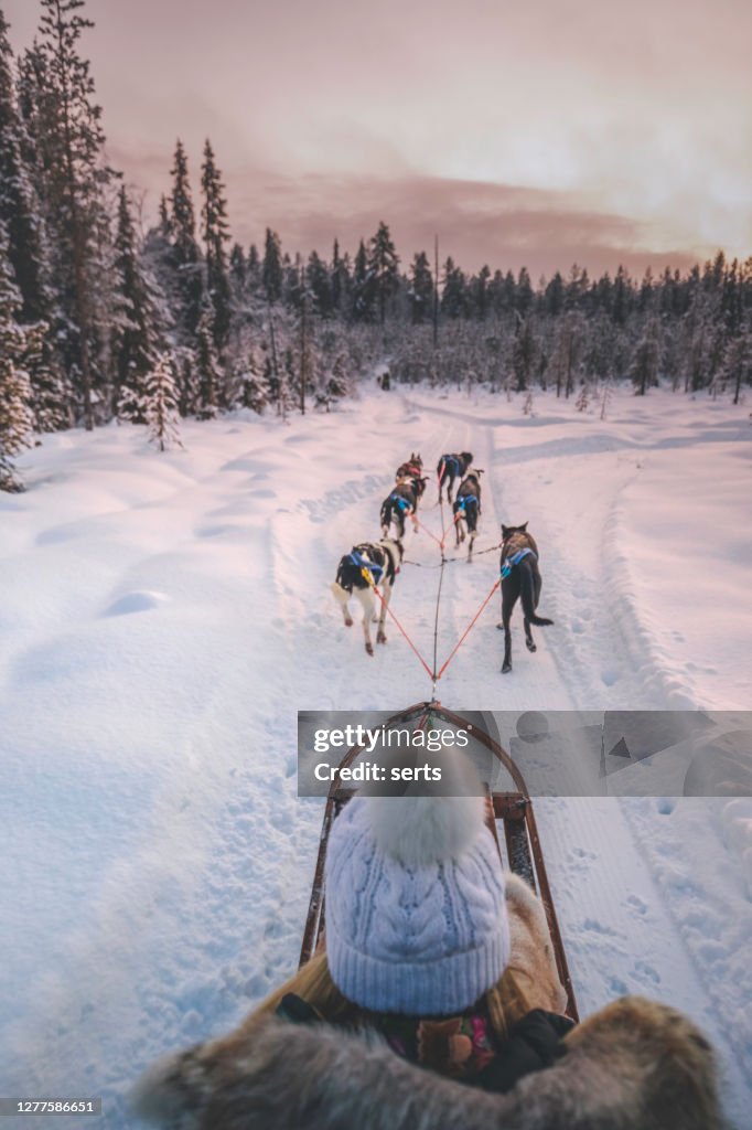 Young woman enjoying husky dog sledding in Lapland, Finland