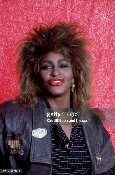 American-Swiss singer and actress, Tina Turner poses for a portrait backstage at the Joe Louis Arena during her "Private Dancer Tour" on August 18 in...