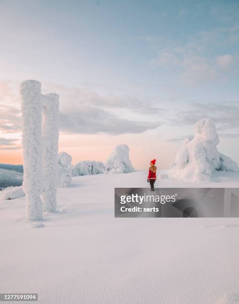 junge frau genießt aussicht im winterwunderland - finnisch lappland stock-fotos und bilder