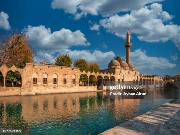the legendary pool of sacred fish (balikligol) in sanliurfa, southeastern anatolia region, turkey - şanlıurfa stock pictures, royalty-free photos & images