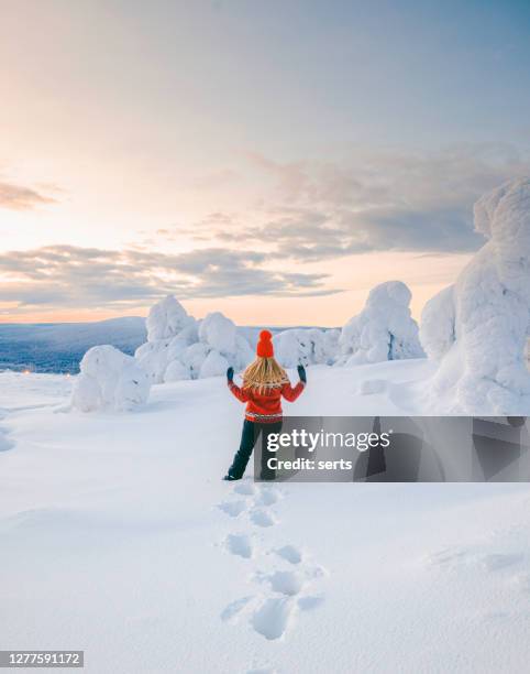 young woman enjoying view in winter wonderland - norrbotten province stock pictures, royalty-free photos & images