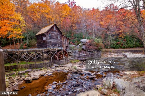 autumn colors in the babcock state park - ウェストバージニア州 ストックフォトと画像