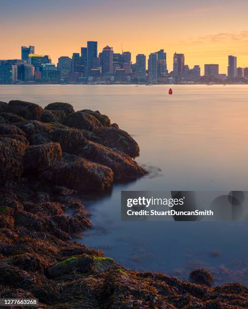 boston, massachusetts skyline - boston harbor stock pictures, royalty-free photos & images