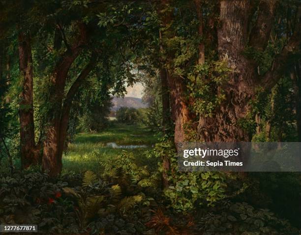 William Trost Richards, In the Woods oil on canvas, 16 in. X 20 1/8 in. , One of Richards's first mature Ruskinian landscapes, In the Woods helped to...