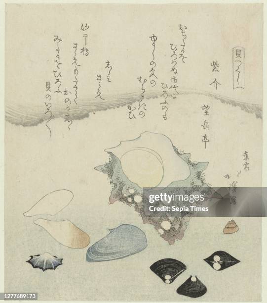 Purple shell, freshwater clams and a turban shell Murasakigai shijimi sazae A series of shells Kaitsukushi , A large turban shovel with three...