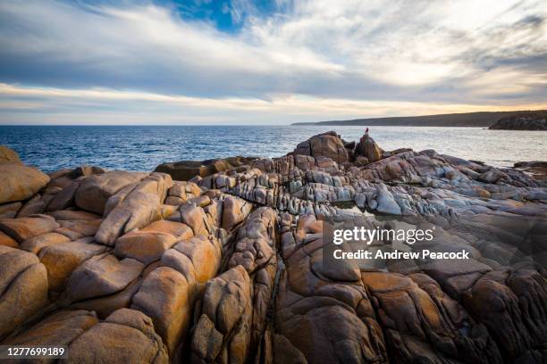 a woman standing on a large boulder in the distance at windmill bay - kangaroo island stock pictures, royalty-free photos & images
