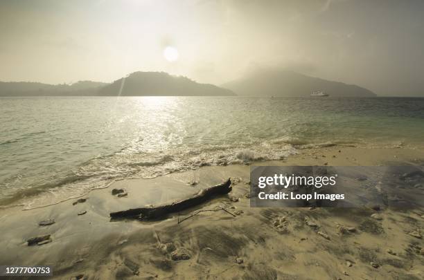 Driftwood on a Papua New Guinea beach with distant islands.