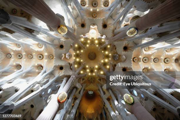 60 Sagrada Familia Ceiling Stock Photos, High-Res Pictures, and Images ...