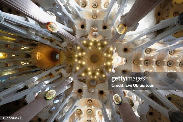 476 Sagrada Familia Interior Stock Photos, High-Res Pictures, and ...
