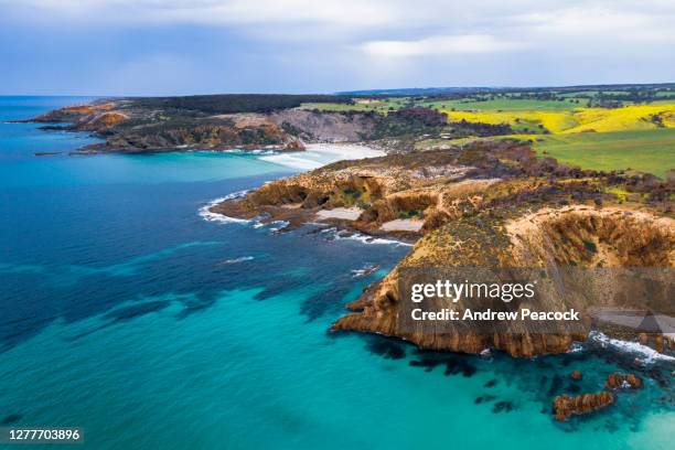 coastline at king george beach on kangaroo island - south australia stock pictures, royalty-free photos & images