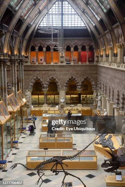 England, Oxford, Natural History Museum, dinosaur skeletons.