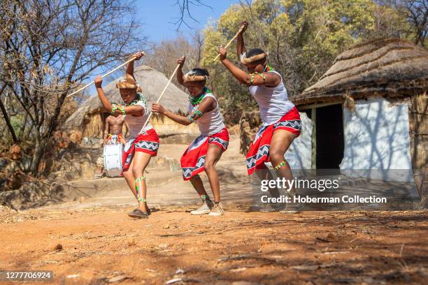 Zulu dancers in traditional costume, dancing the Ingoma warrior dance. Creda Mutwa village, South Africa