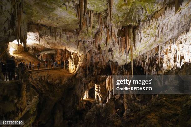 Postojna Cave, near Postojna, southwestern Slovenia, Europe.