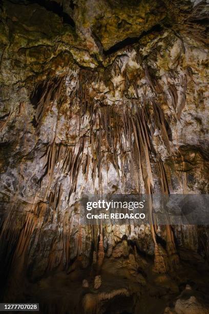 Postojna Cave, near Postojna, southwestern Slovenia, Europe.